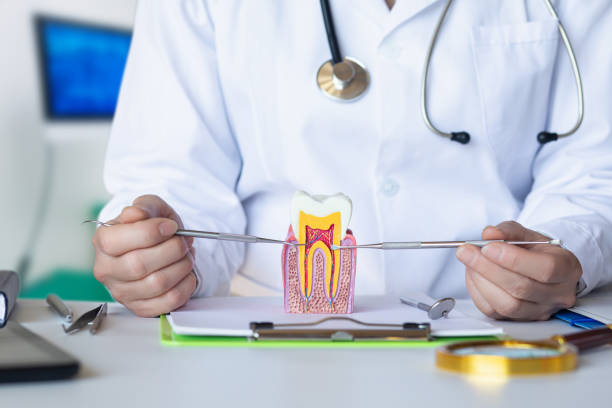Best Emergency Treatment for Dental Infections or Abscesses in Fairmont, IL